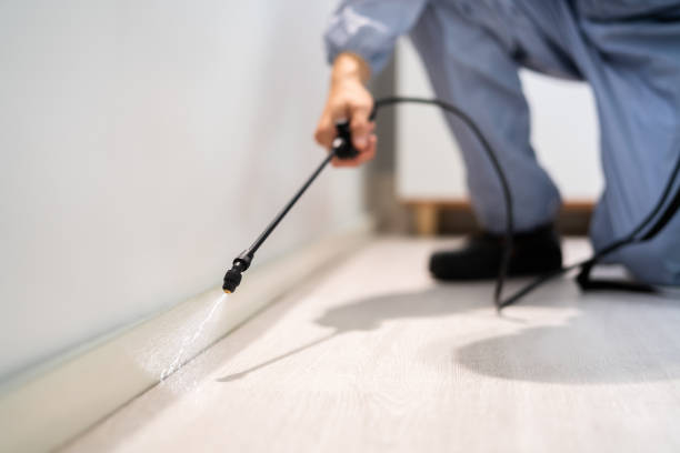 Licensed Pest Control service in Warrenton, MO - Show Me Pest Control