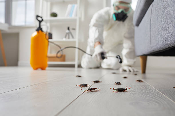 Post-Treatment Bed Bug Interceptor Monitoring in Warrenton