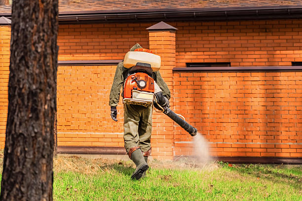 Bed Bug Clearance Verification and Documentation in Warrenton